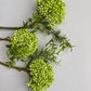 Green Cluster Berry 3 Stems