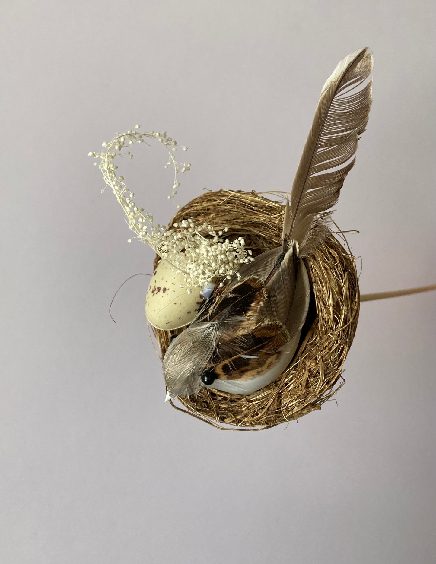 Bird Nest Pick