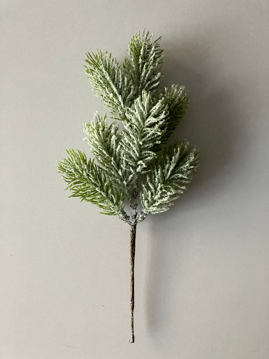 Snowy Spruce Stem