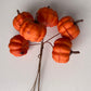 Orange Pumpkin Bunch