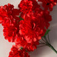 8 Red Chrysanthemum Bunch