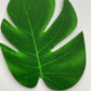 12 Medium Monstera Leaf Heads
