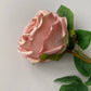 Pink Globe Rose