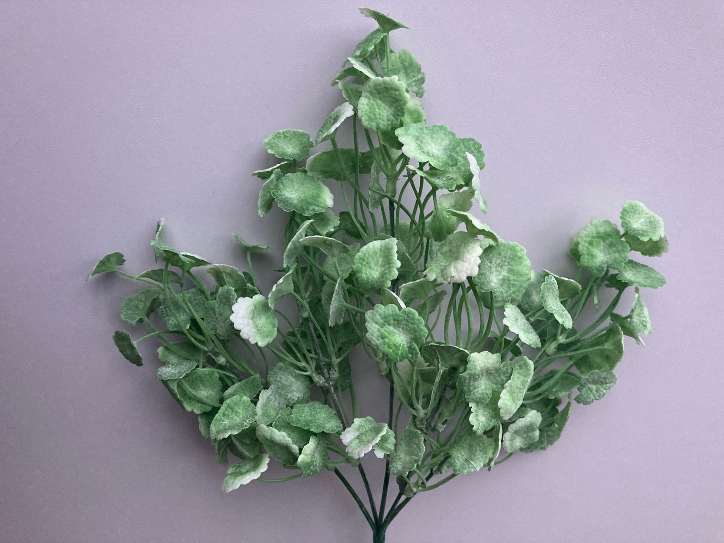 30cm White & Green Foliage Bunch