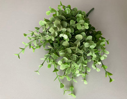 Mini Boxwood Bush Foliage