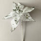 White & Silver Poinsettia