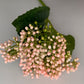 Light Pink/White Berry Cluster