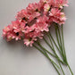 Pink Large Gerbera Bunch