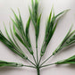 Grass Foliage Bunch