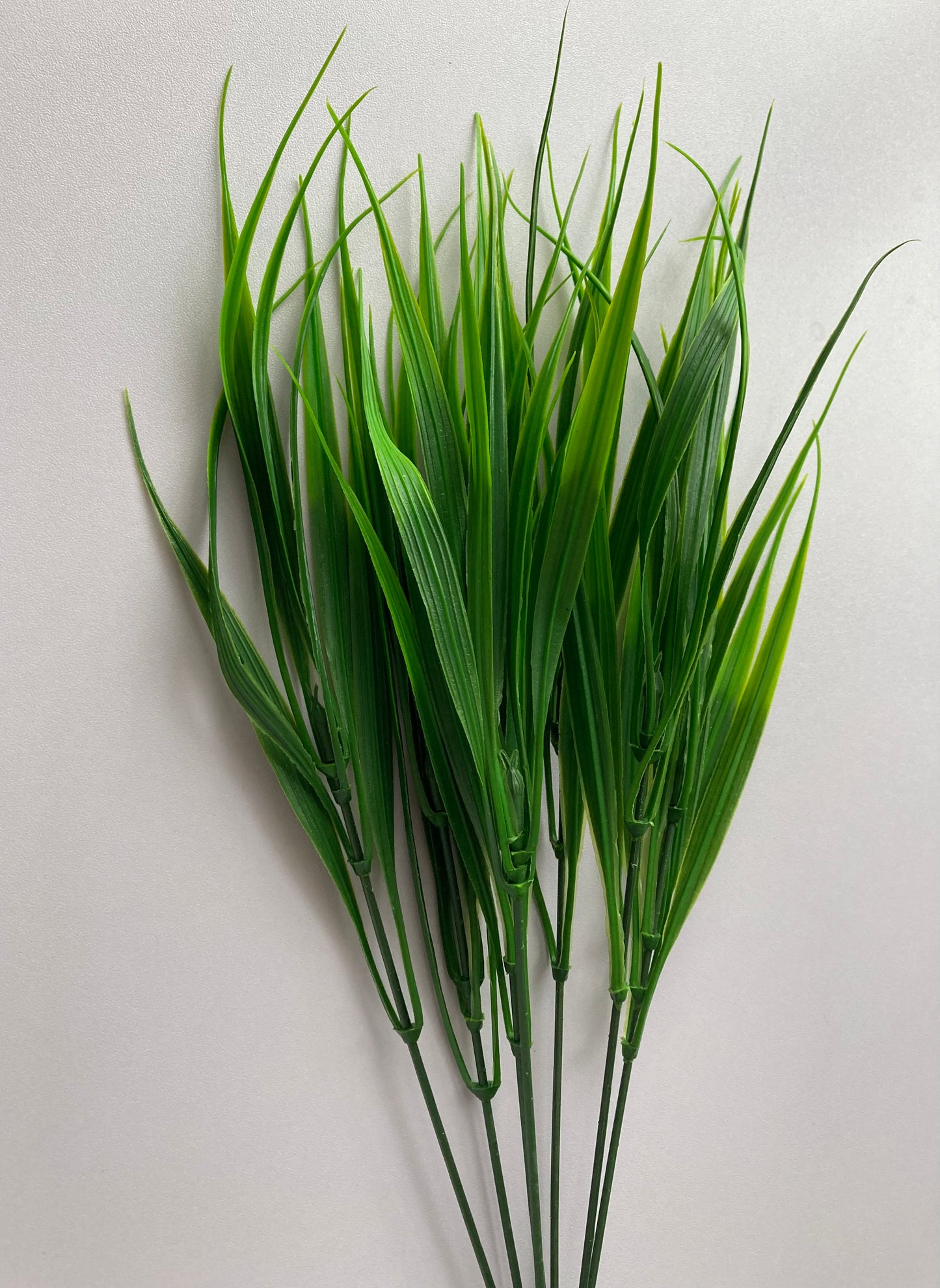 Grass Foliage Bunch