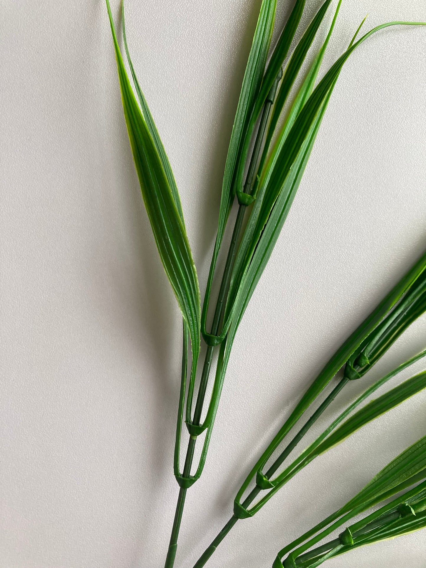 Grass Foliage Bunch