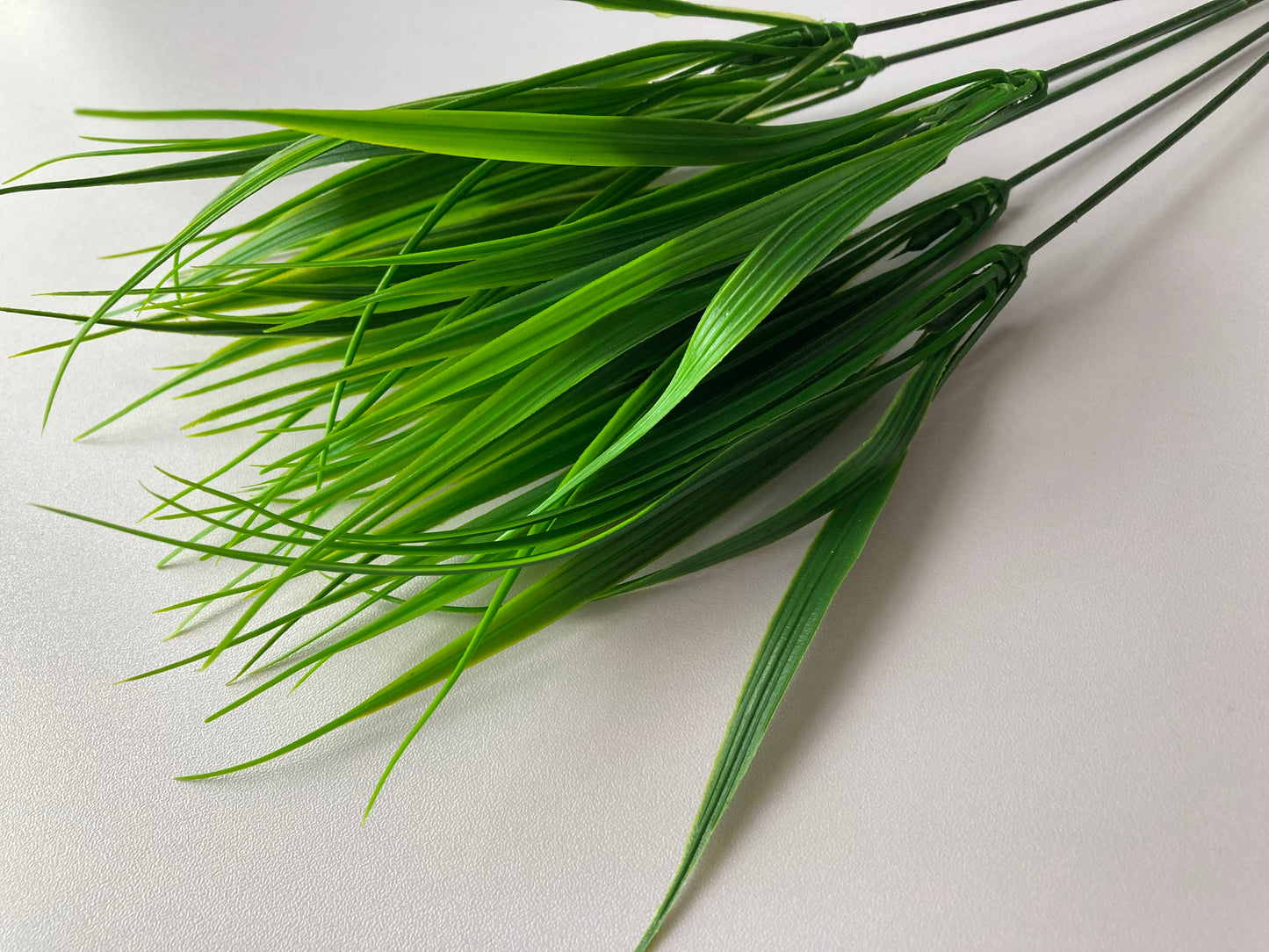 Grass Foliage Bunch