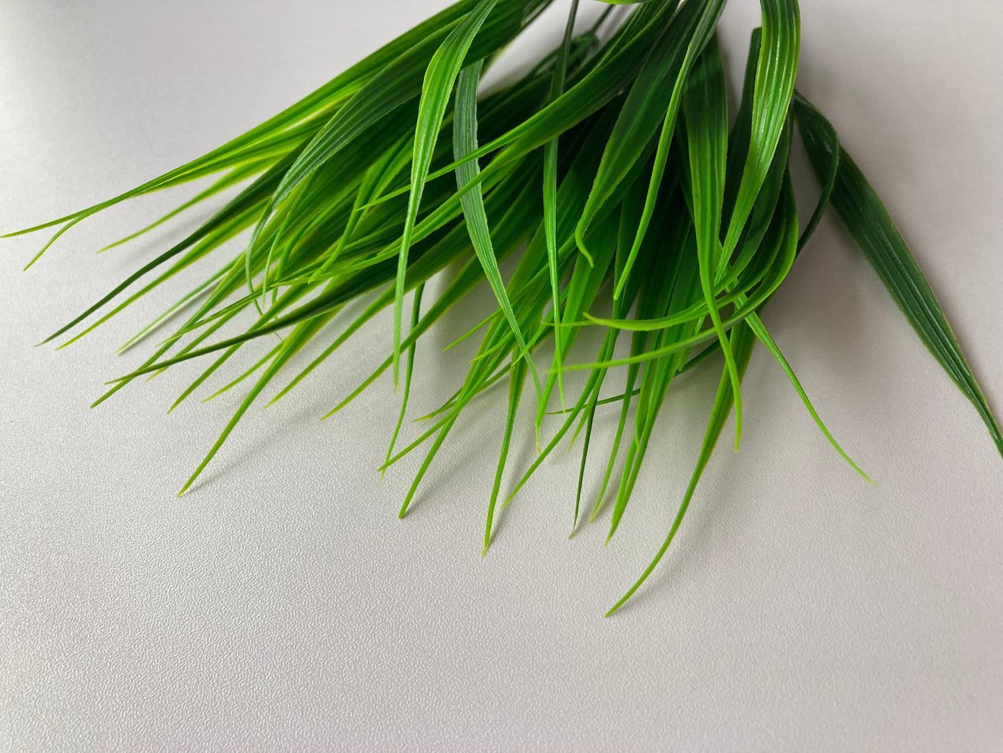 Grass Foliage Bunch