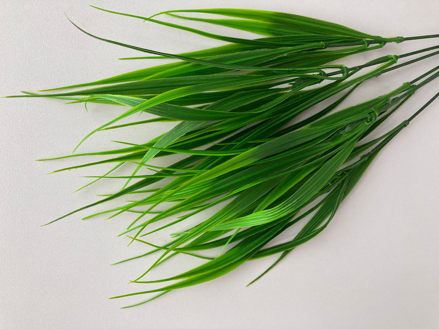 Grass Foliage Bunch