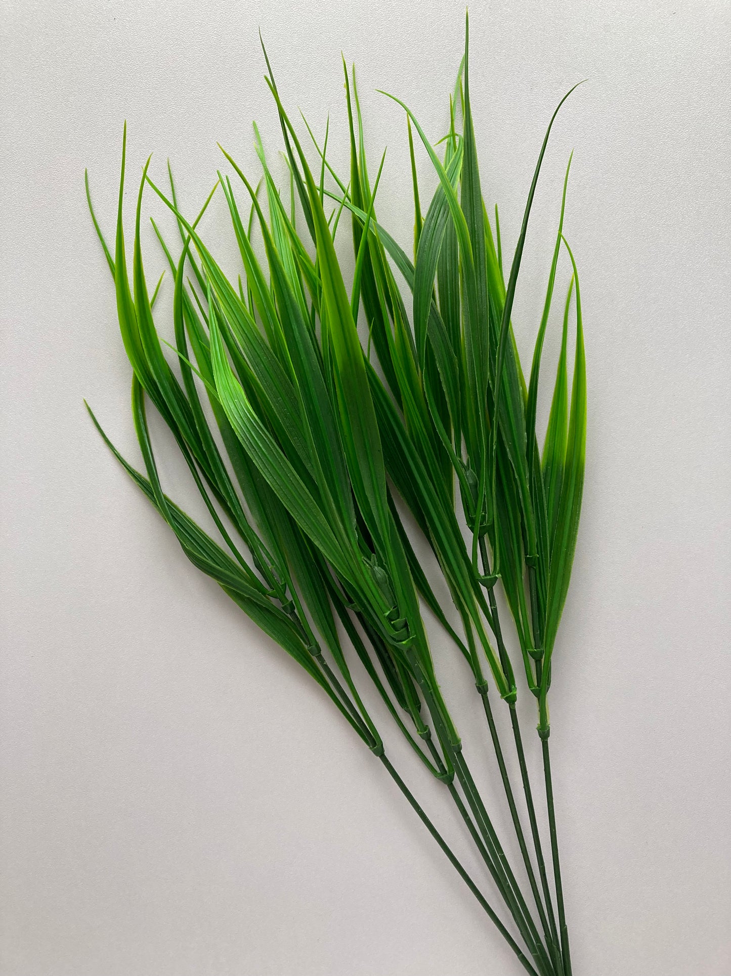 Grass Foliage Bunch