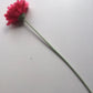 Pink Gerbera Single Stem