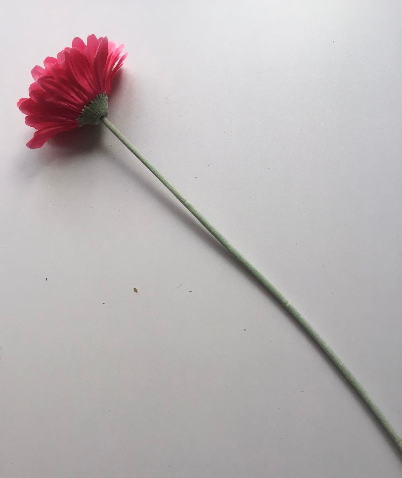 Pink Gerbera Single Stem