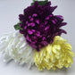 Purple Chrysanthemum Stem
