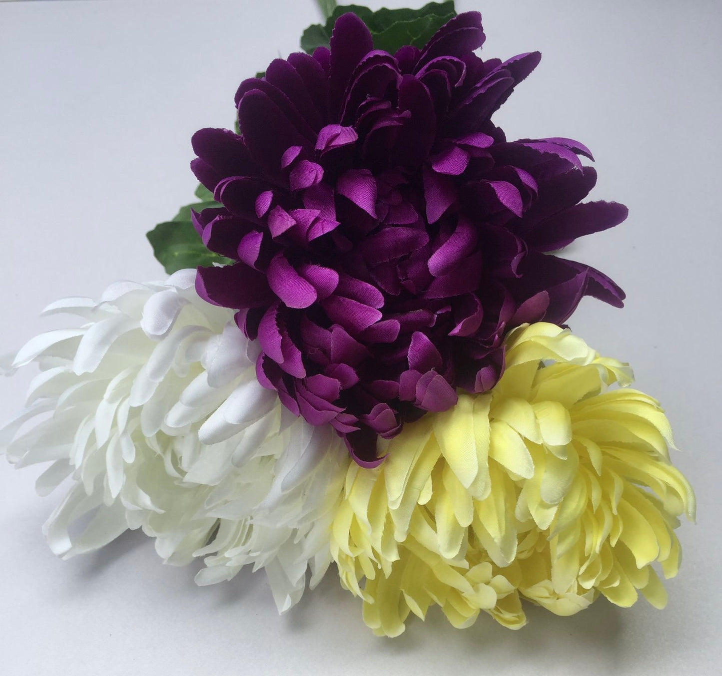 Purple Chrysanthemum Stem