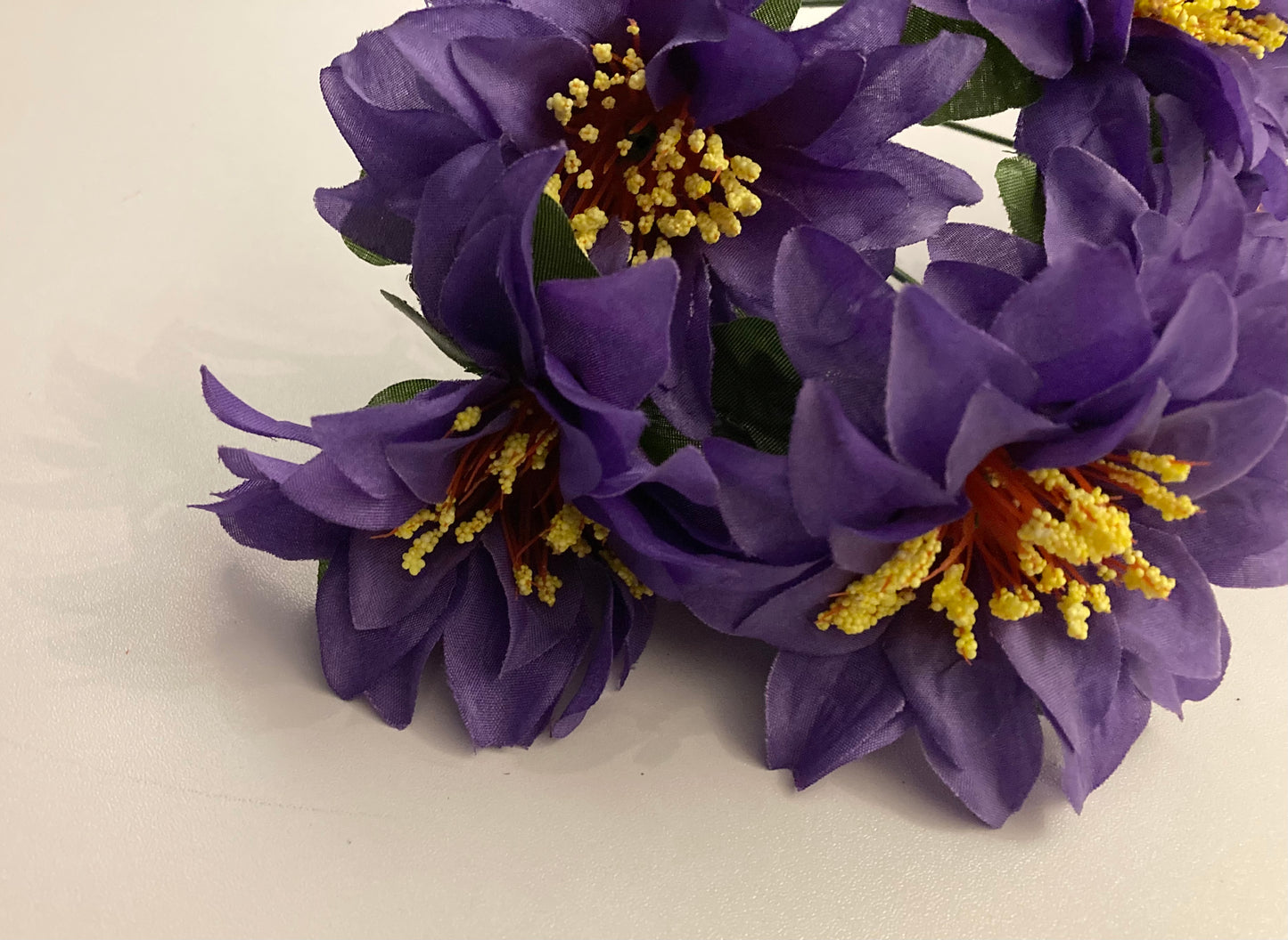 Purple Zinnia Bunch