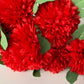 Red Chrysanthemum Bunch