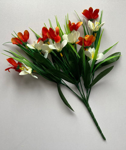 Orange & White Agapanthus Bush