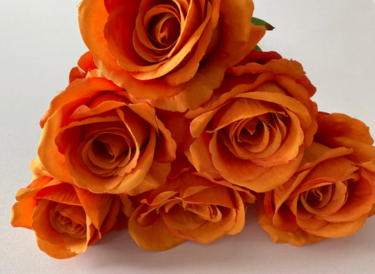 6 Orange Rose Bunch