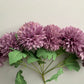 Purple Chrysanthemums Bunch