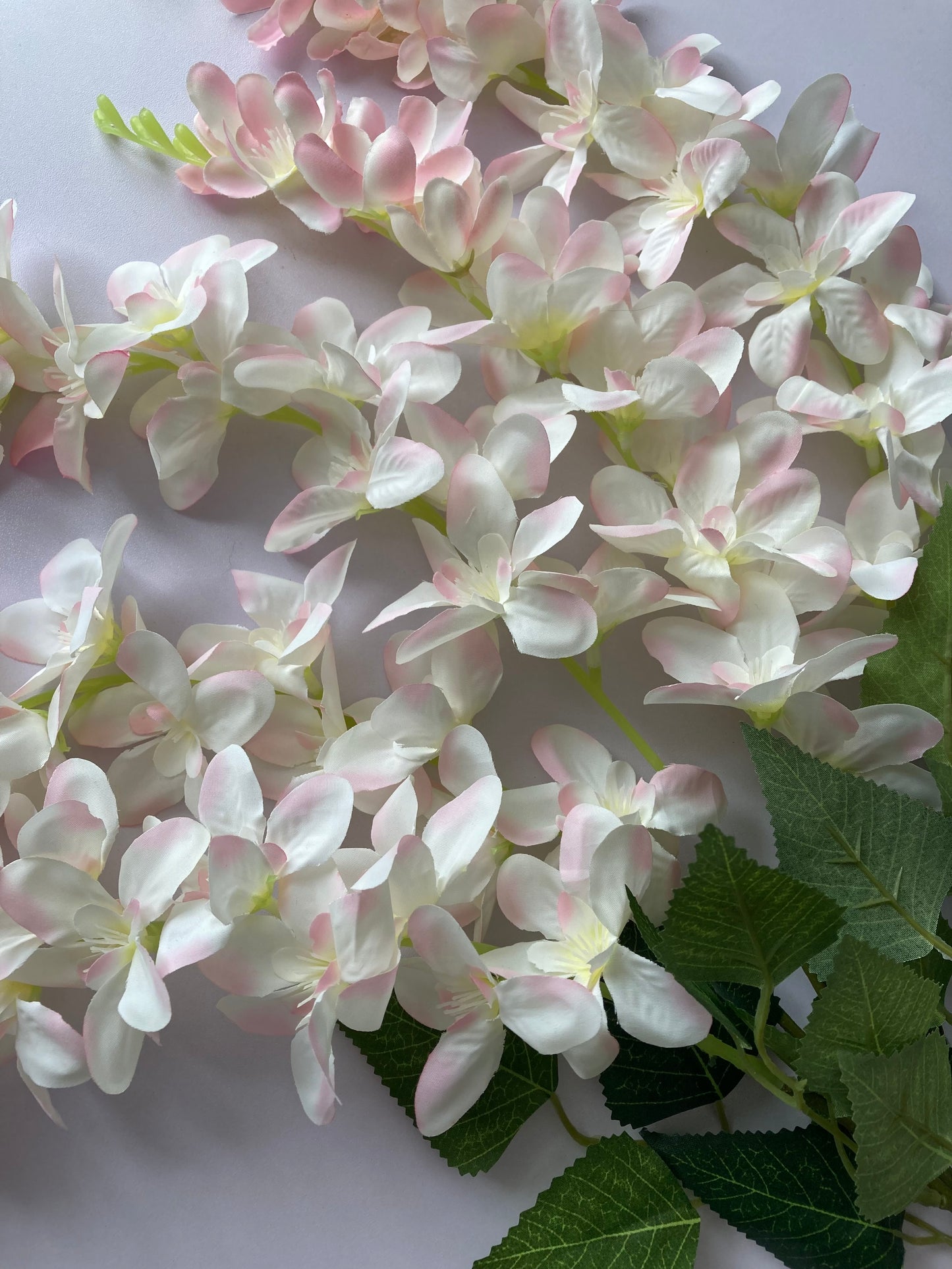 Pink Wisteria Trailing Flower