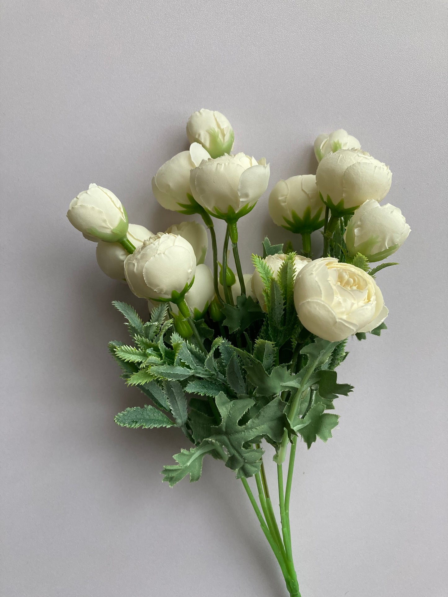 Mini Ivory Ranunculus Bunch