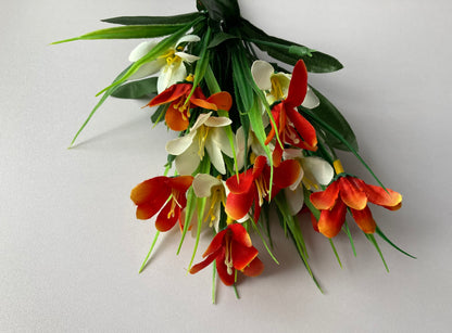 Orange & White Agapanthus Bush