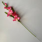 Pink Gladiolus Spray