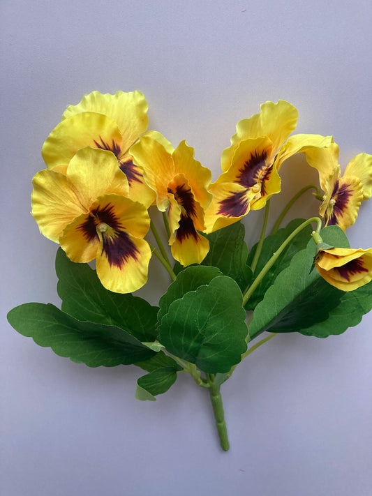 Yellow Pansy Bunch