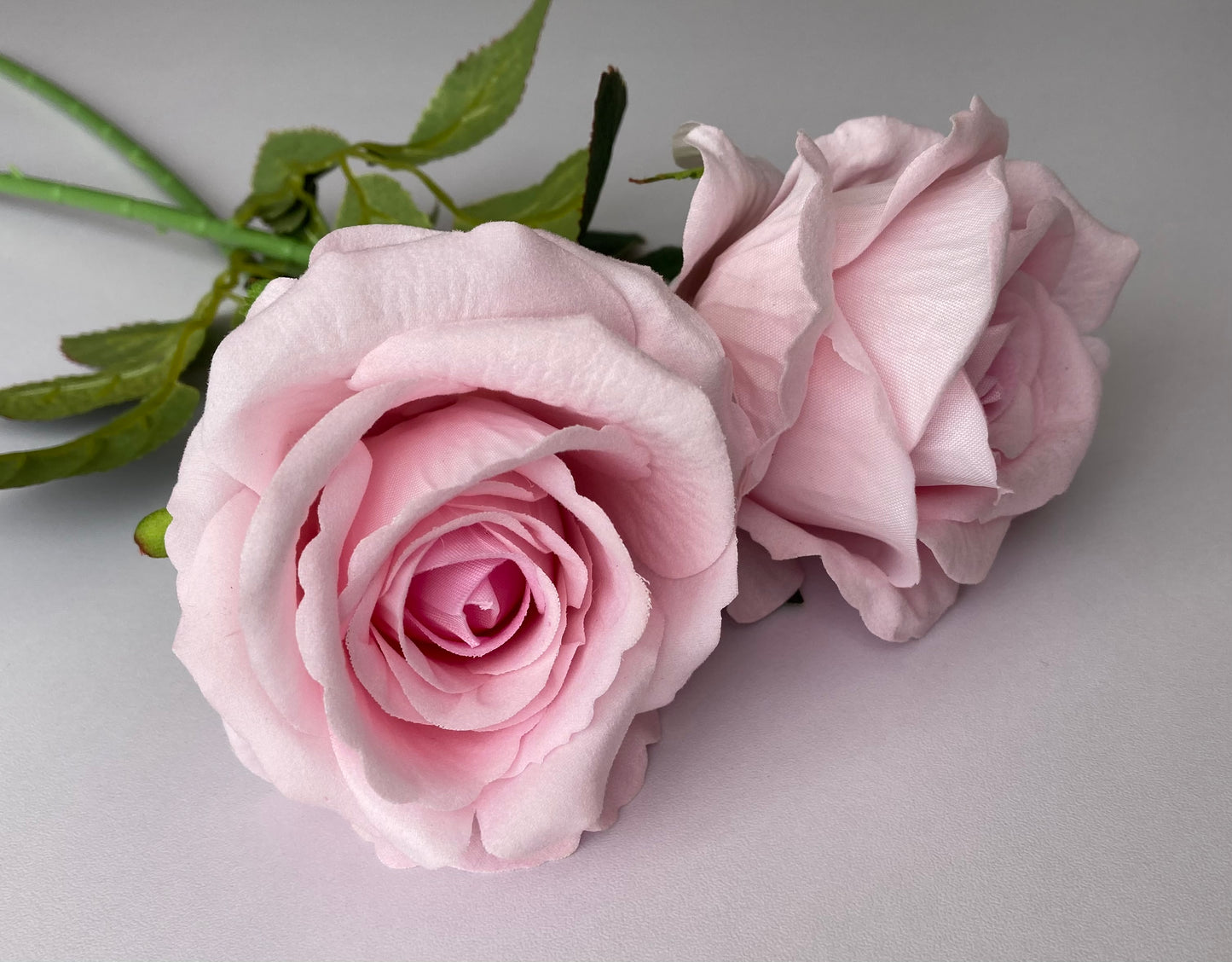 Soft Pink Velvet Touch Rose