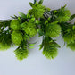 Green Thistle Bunch