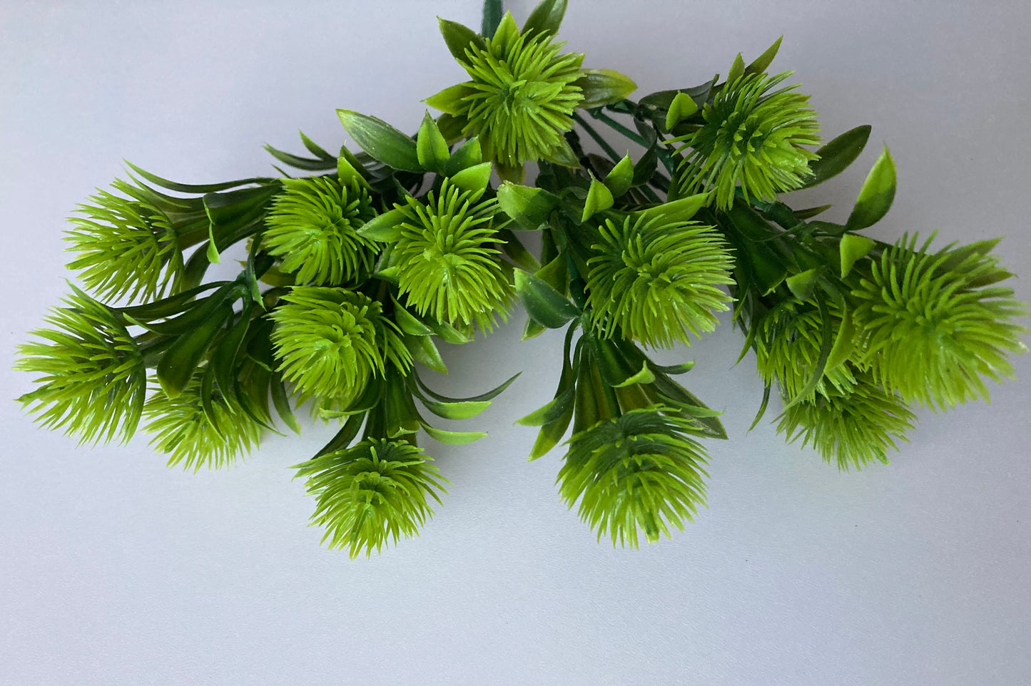 Green Thistle Bunch