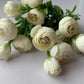 Mini Ivory Ranunculus Bunch