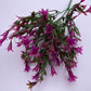 Mauve Small Flower Foliage