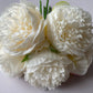 Ivory 5 Peony Bunch