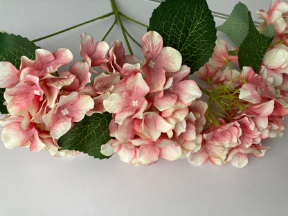 Large Hydrangea Pink Bunch