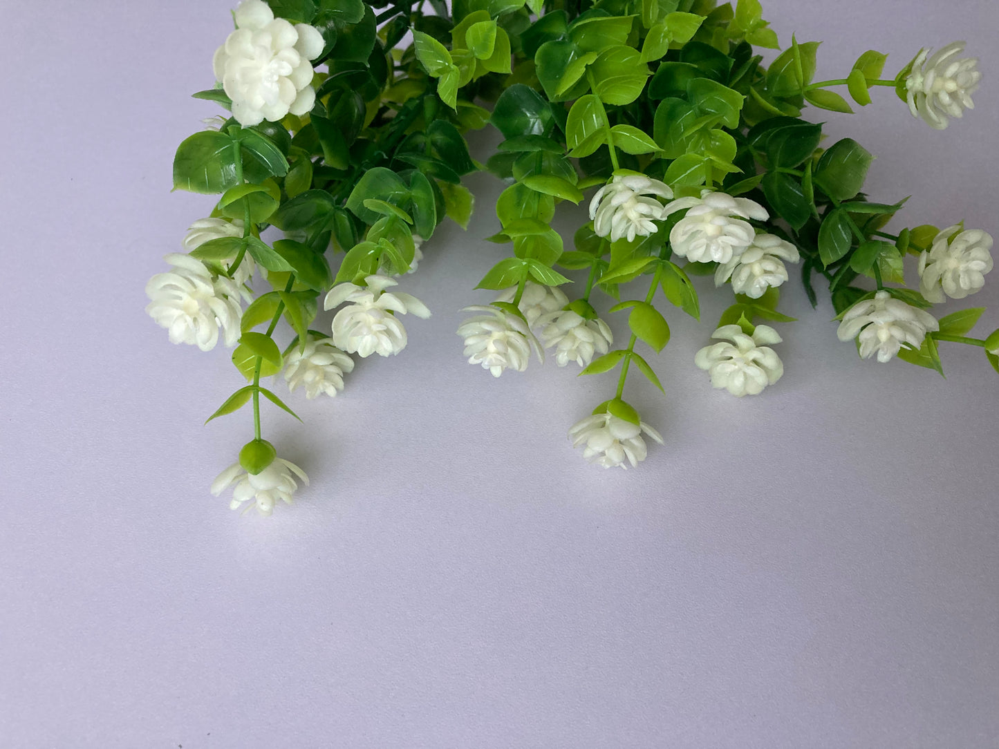 White Flower Foliage Bush