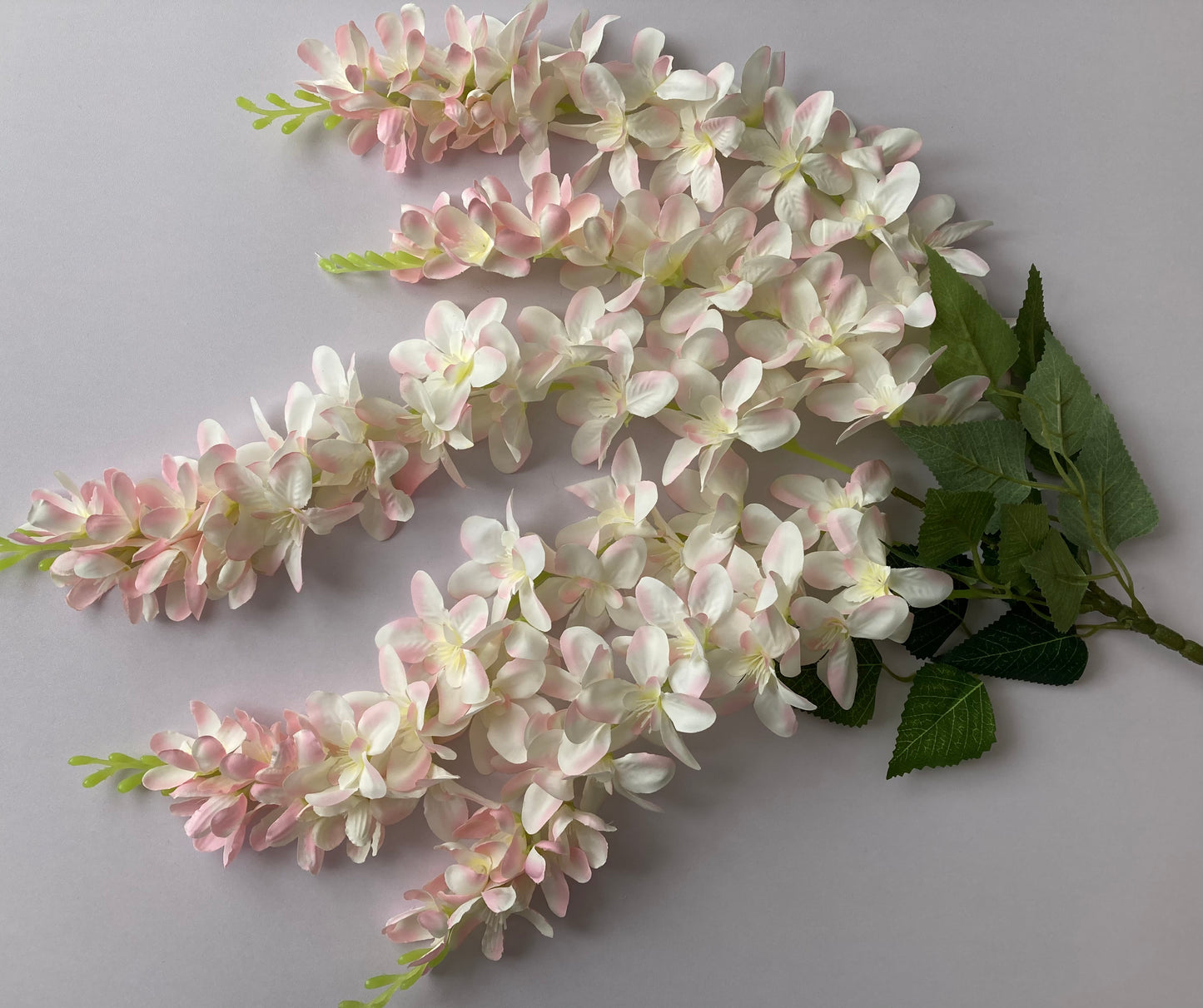 Pink Wisteria Trailing Flower