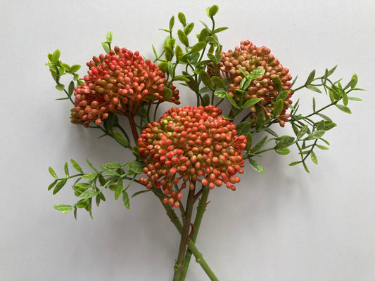 Autumn Red Berry & Foliage