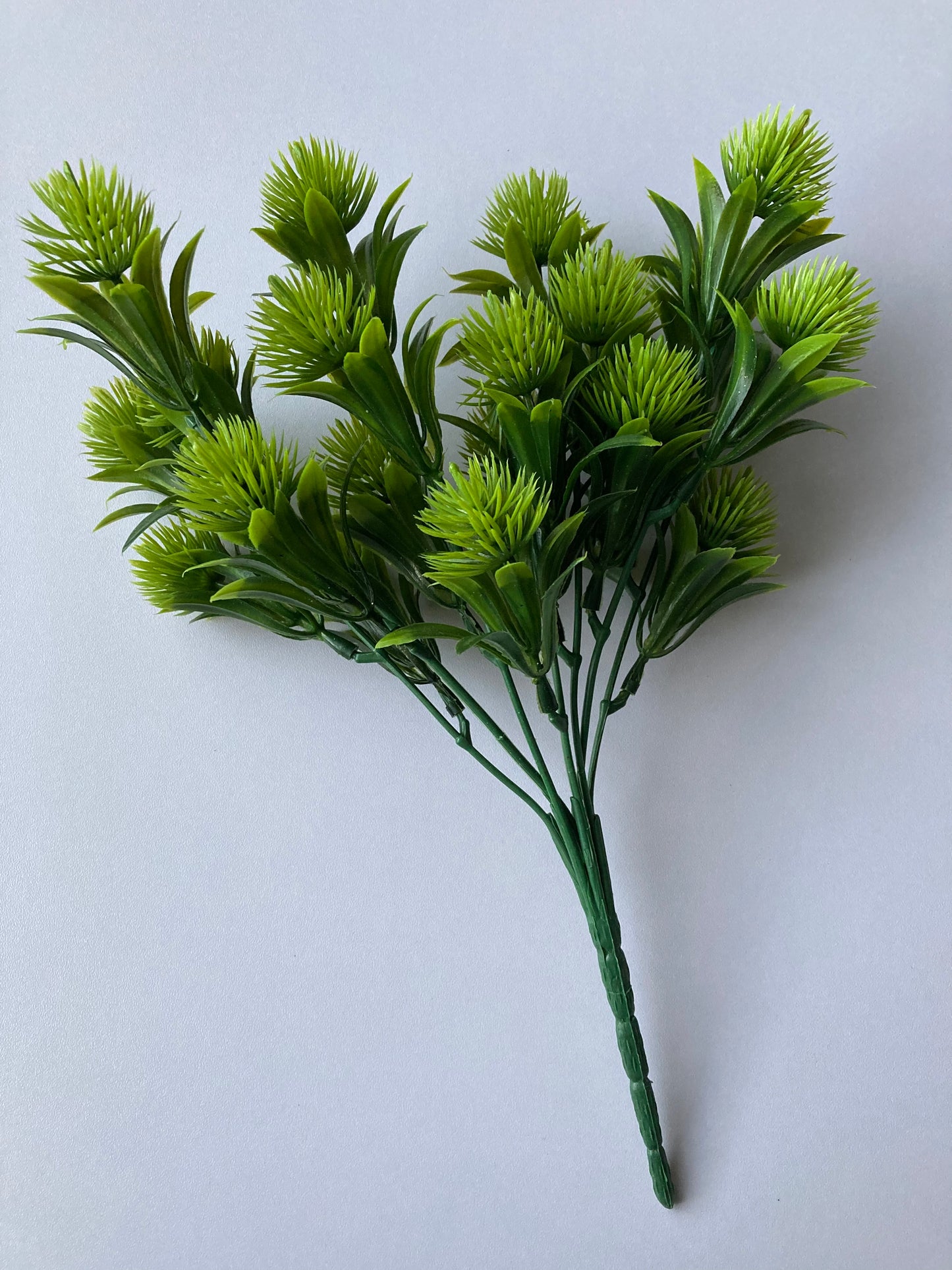 Green Thistle Bunch