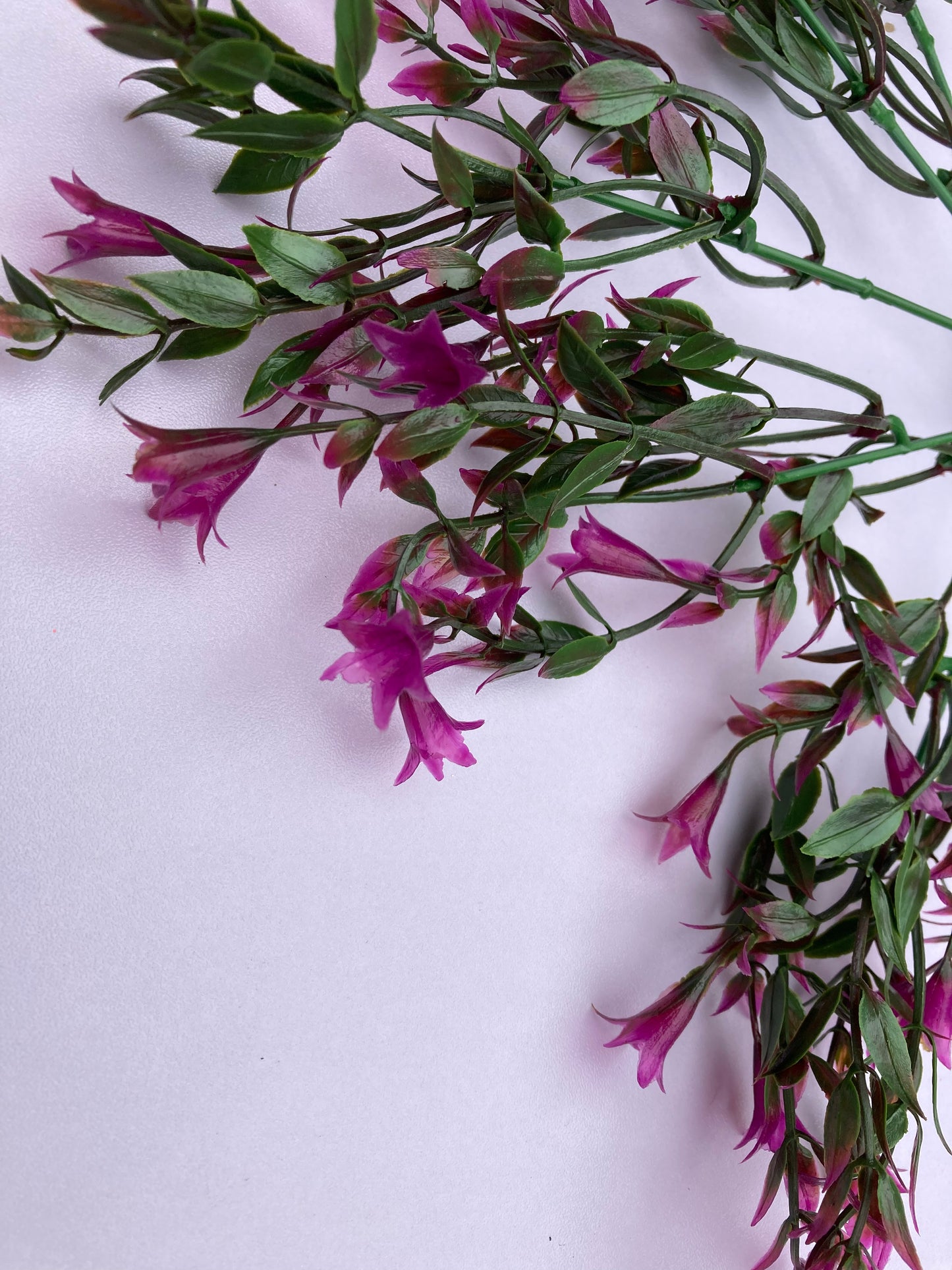 Mauve Small Flower Foliage