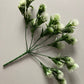 White Thistle Bunch