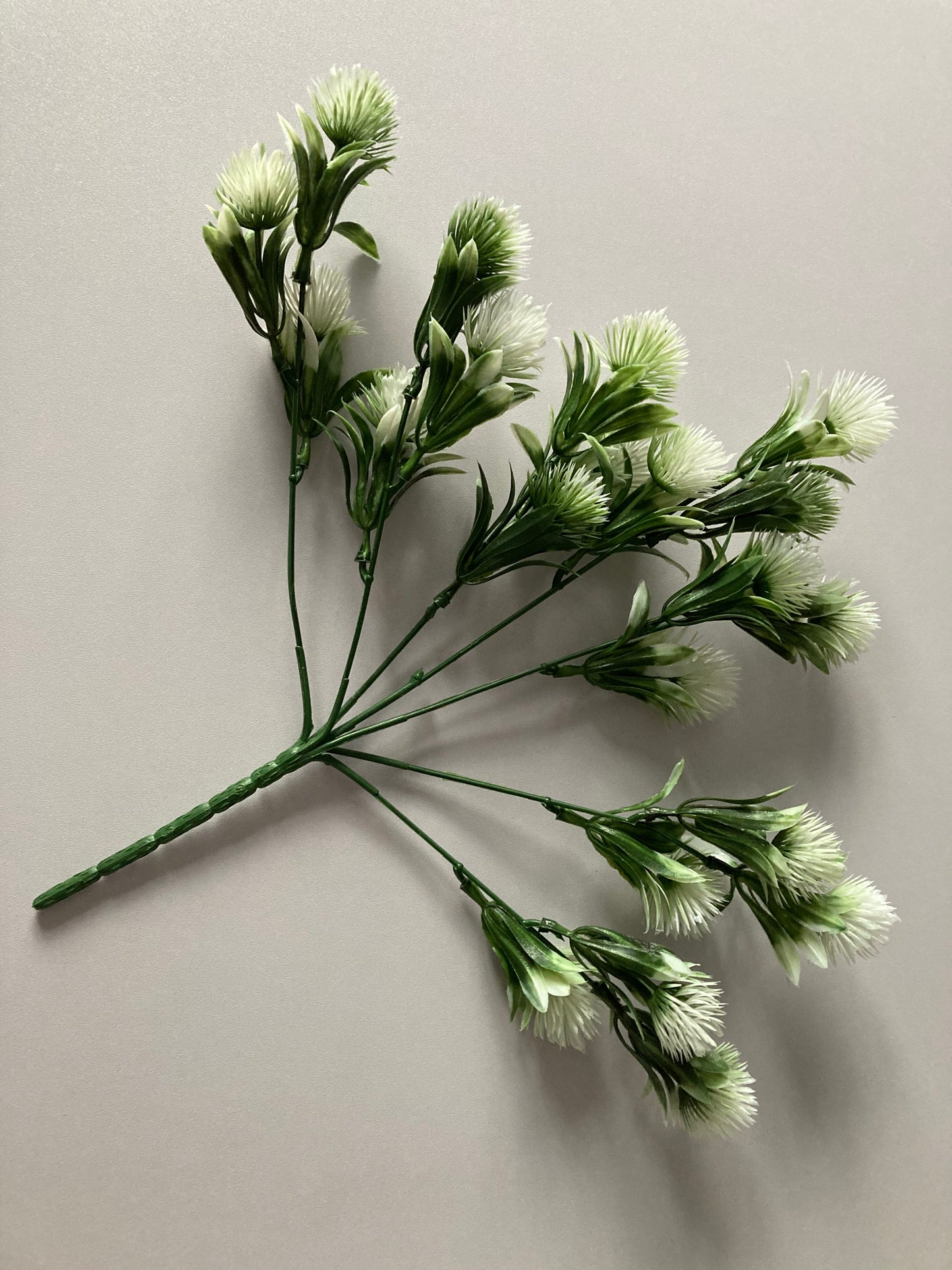 White Thistle Bunch