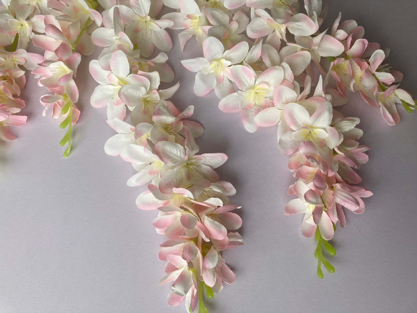 Pink Wisteria Trailing Flower