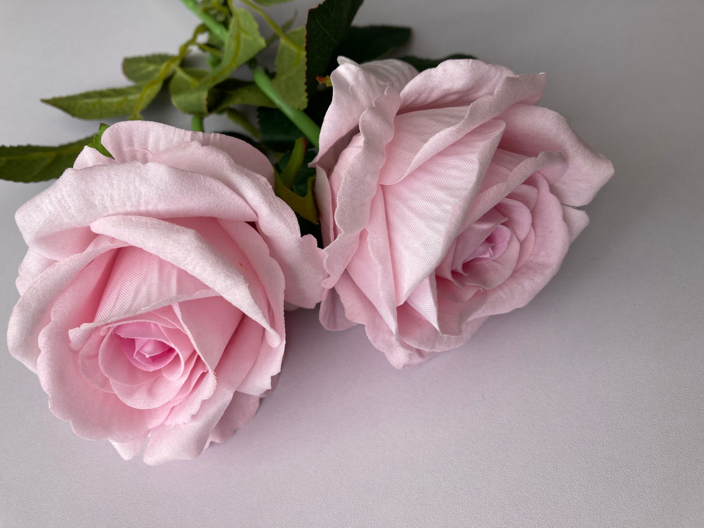 Soft Pink Velvet Touch Rose