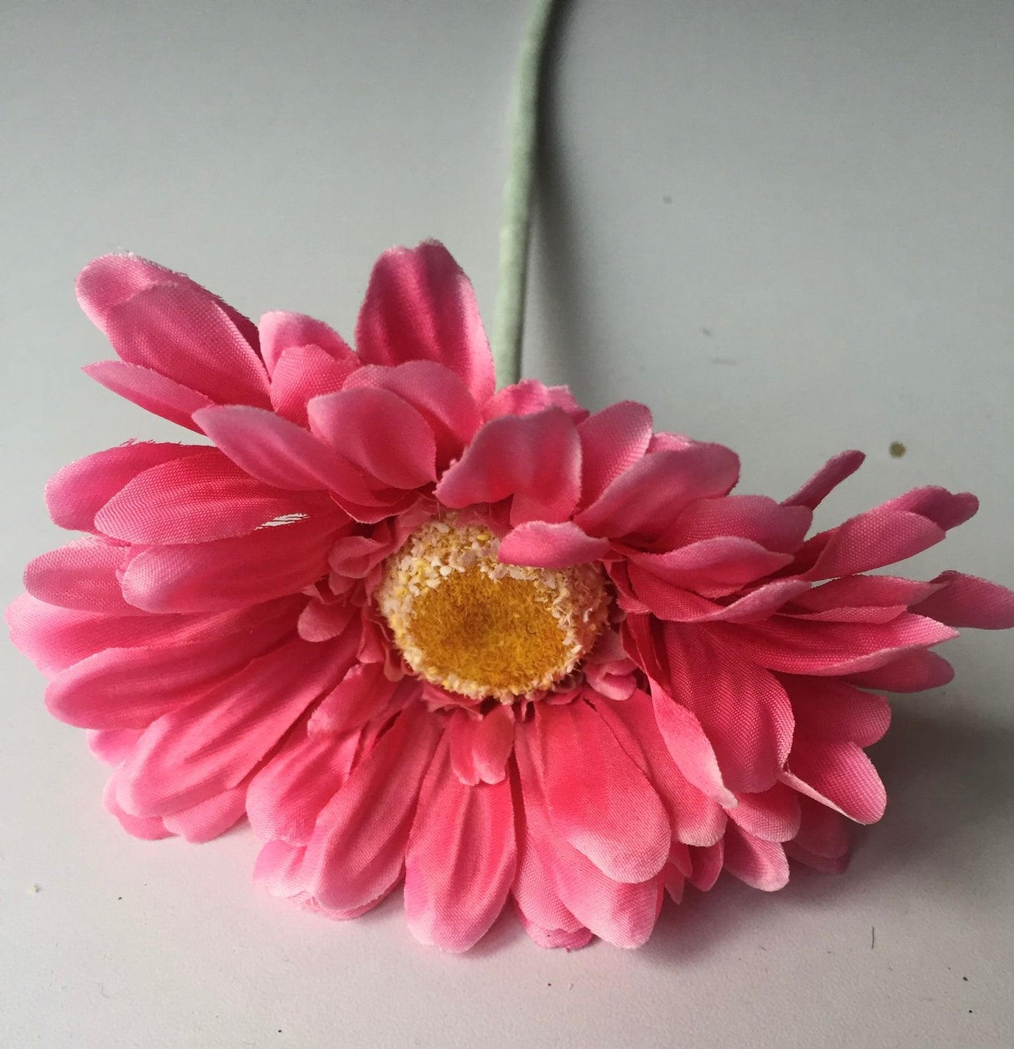 Pink Gerbera Single Stem